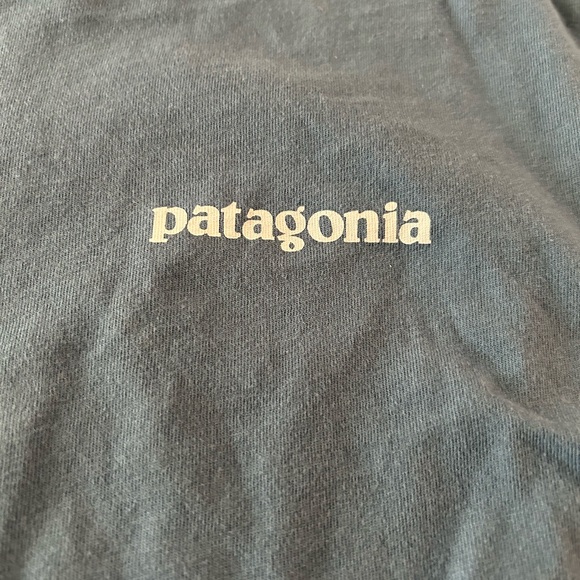 Patagonia Men's Blue T-Shirt. Size Large. - Picture 3 of 4